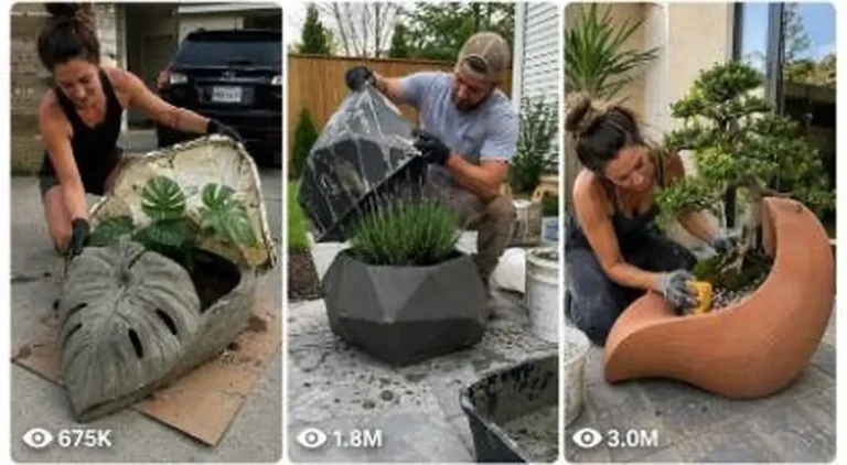 DIY Cloth and Cement Planter Pot Video Prompt — 2