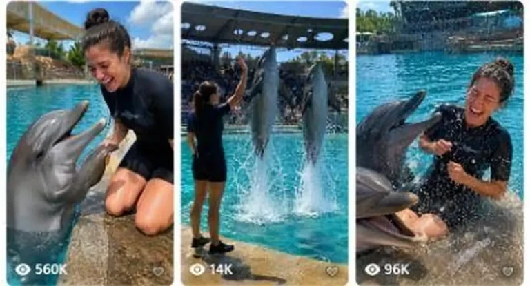 Dolphin Trainer Show and Comedy Video Prompt — 2