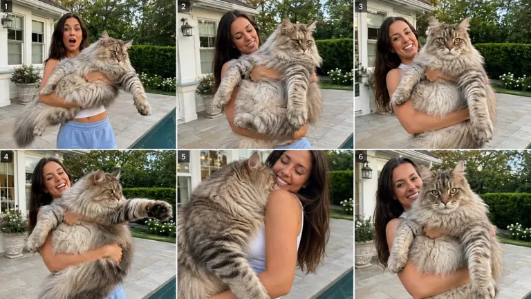 Giant Animal Held by American Influencer Prompt — 2