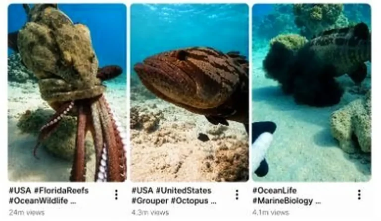 Grouper vs Octopus Underwater Battle Prompt — 2