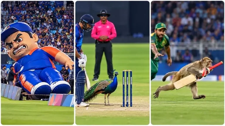 Surreal Cricket Broadcast Interruption Comedy — 1